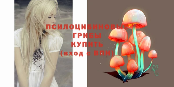 шишки Абинск