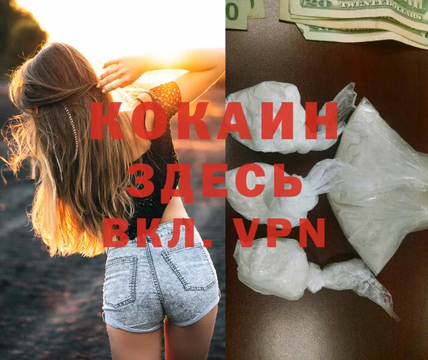 шишки Абинск