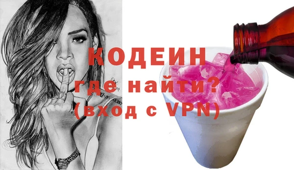 хмурый Алзамай