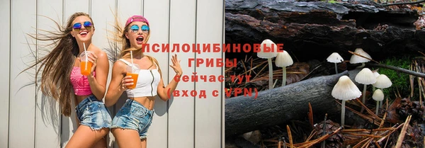бошки Алексеевка