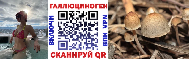 Галлюциногенные грибы GOLDEN TEACHER  Трубчевск 
