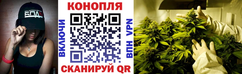 MEGA маркетплейс  Трубчевск  Канабис Amnesia  продажа наркотиков 